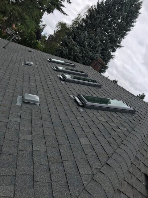 A row of four premium solar-powered opening skylights professionally installed on a dark gray asphalt shingle residential roof.