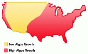map of algae growth