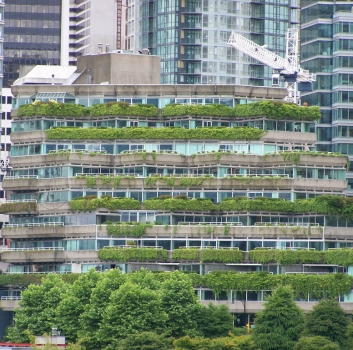 Your Building is Alive: The Story of the Green Roof