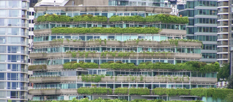 Your Building is Alive: The Story of the Green Roof