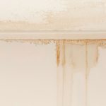 Water damaged ceiling and wall, white becoming brown